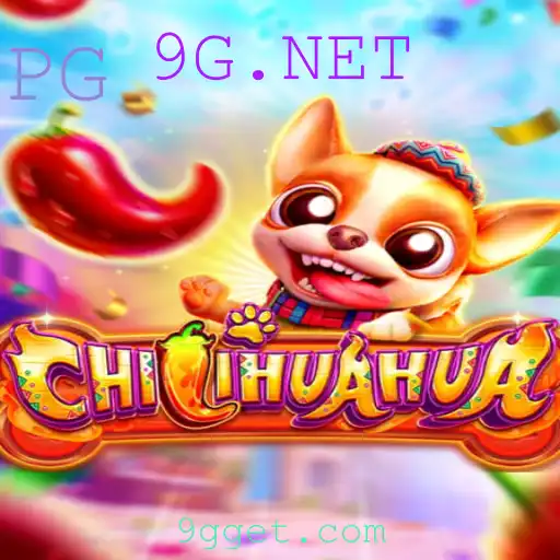 CHILIHUAHUA: Descubra o Novo Jogo Empolgante com 9G.NET